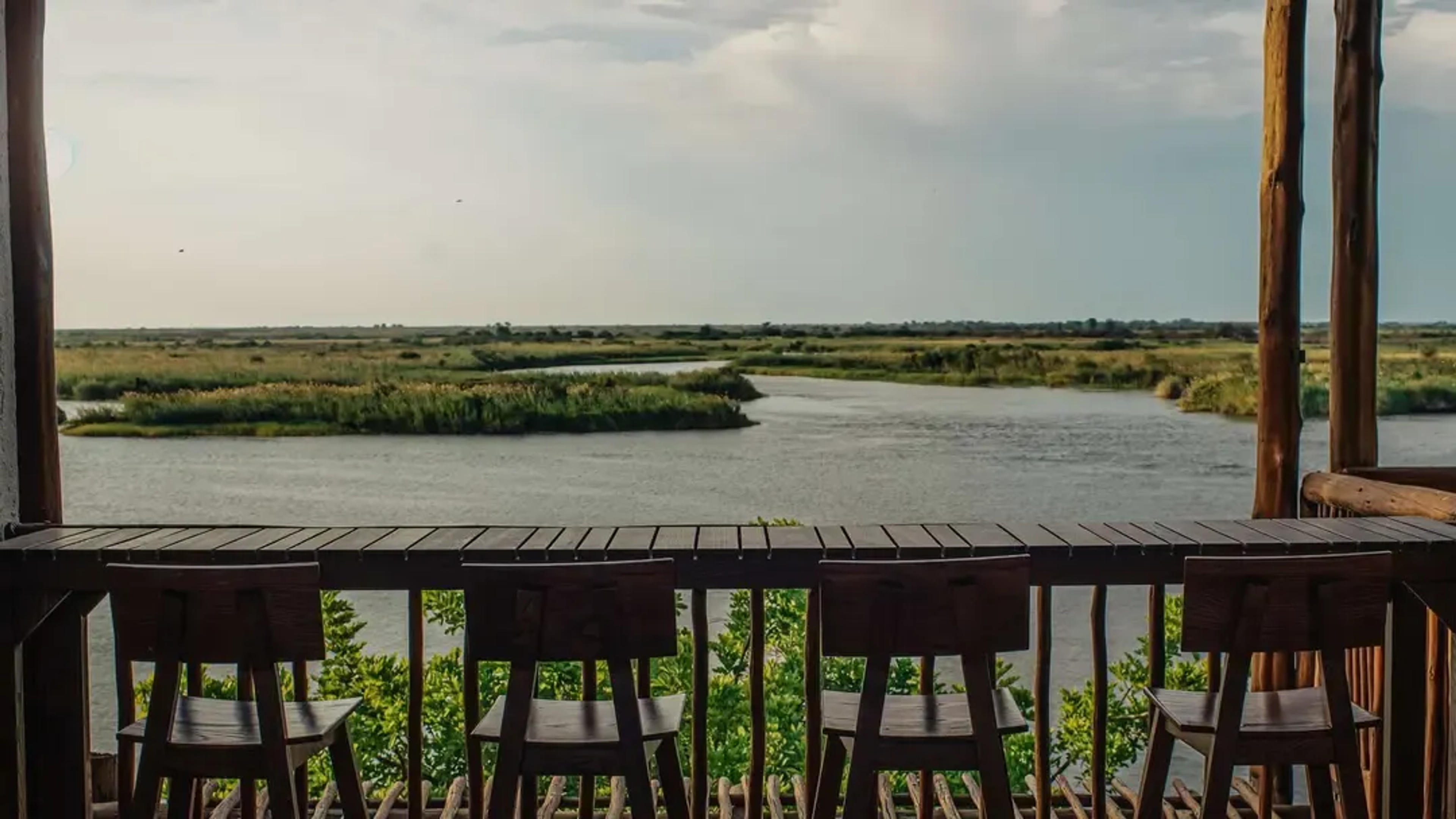large_focal_Might_Chobe_RIver.webp