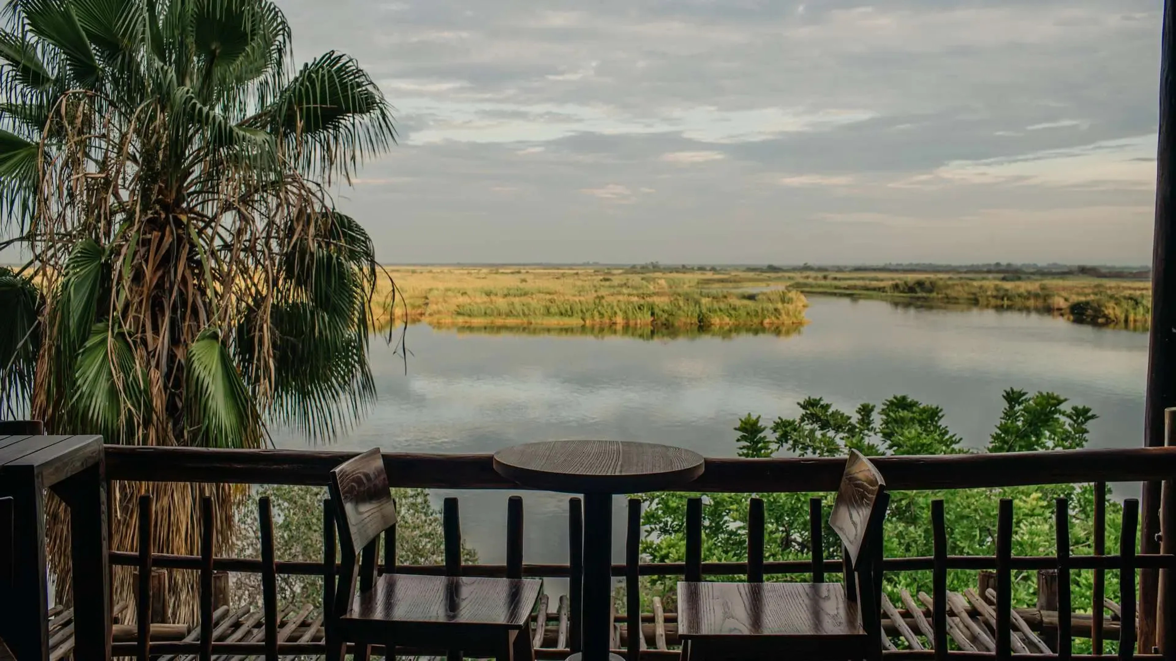 large_focal_mowana_chobe.webp