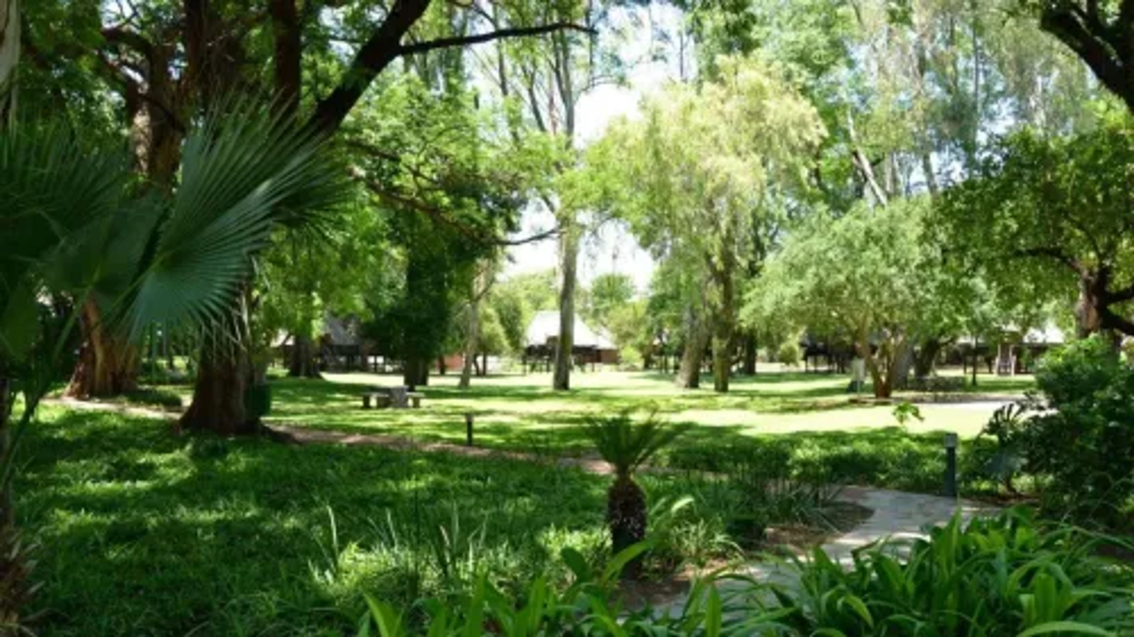cresta image