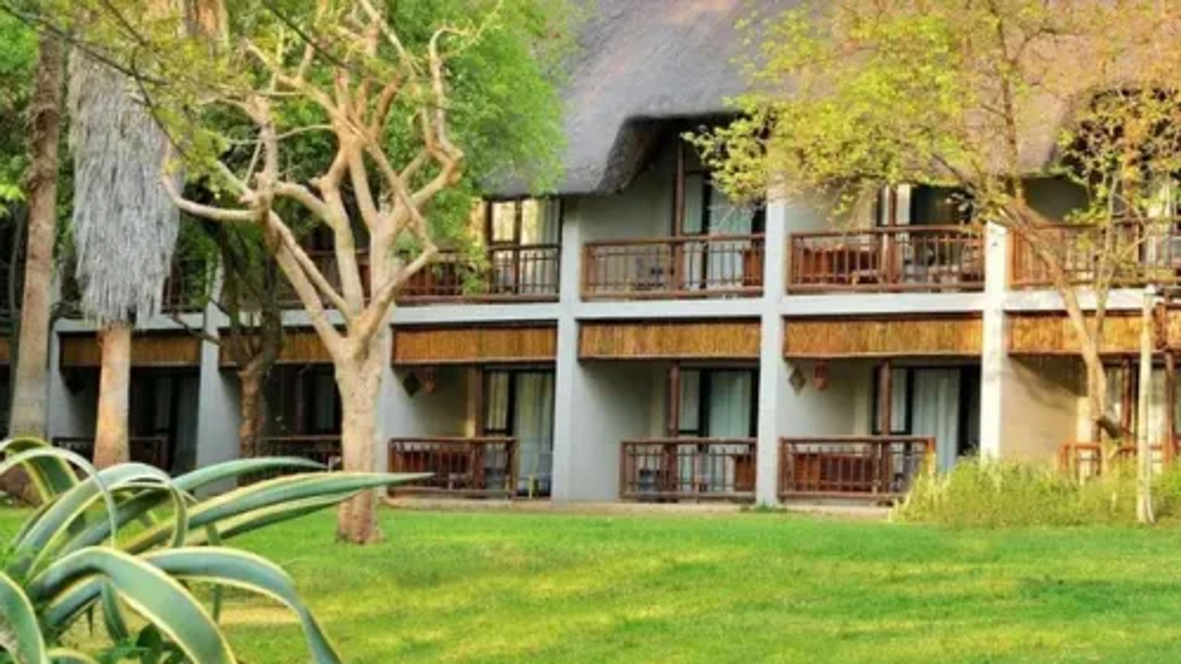 large_focal_Mowana-Safari-Lodge-Accommodation2.webp